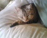 2007_0423_005.jpg