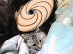 catandme.jpg